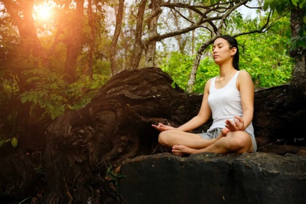 Eco Jungle Hideout Packages